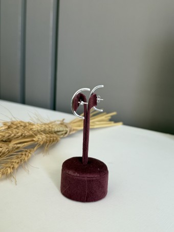 Brinco Ear Hook cravejado