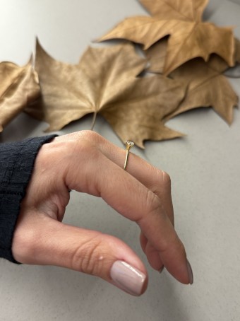 Anel solítário tradicional